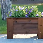 Kassikaepa *