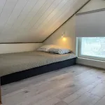 Pansiyon Kassikaepa Haapsalu